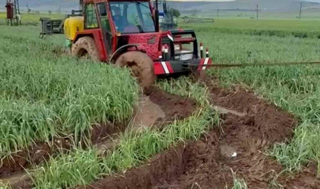 Gaziantep’in Araban ilçesinde, her yıl nisan ayı ortalarında başlayan yeşil