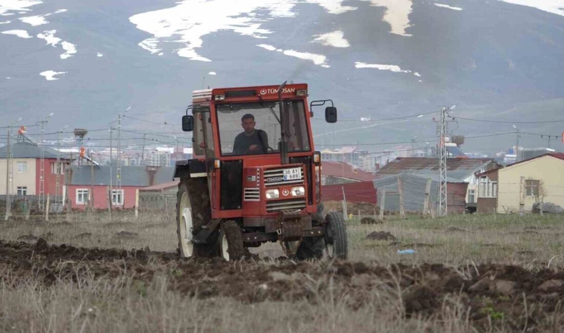 Ardahan’da uzun geçen kış mevsimi sonrası havaların ısınmasıyla birlikte çiftçiler