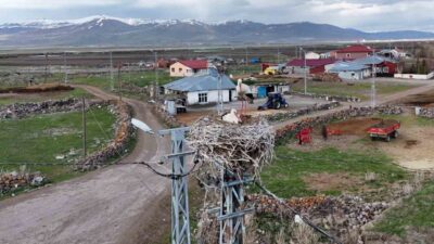 Ardahan’ın Ağzıpek köyü, baharın gelmesiyle birlikte leyleklerin uğrak noktası haline
