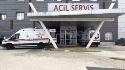 Tekirdağ’ın Muratlı ilçesinde arıların saldırısına uğrayan yaşlı çift hastanelik oldu.
