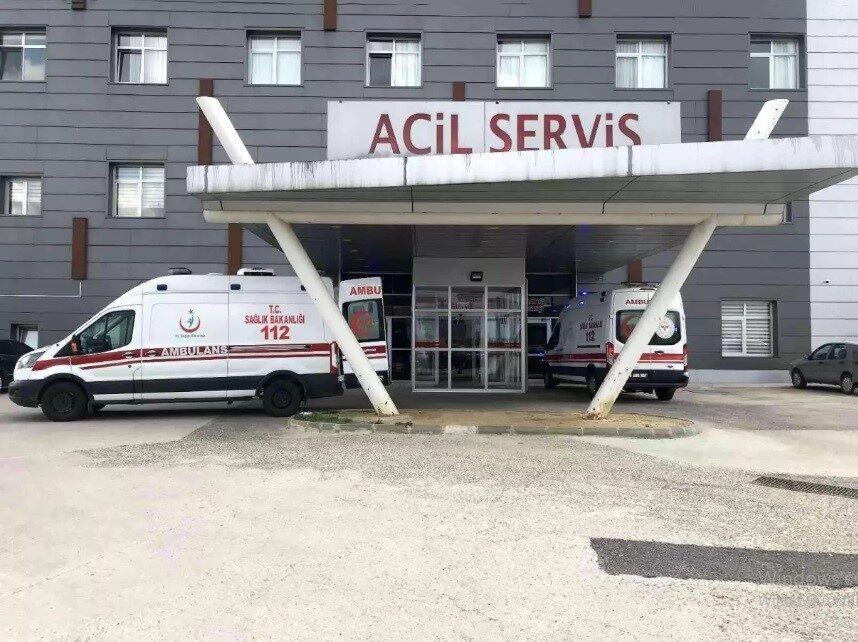 Tekirdağ’ın Muratlı ilçesinde arıların saldırısına uğrayan yaşlı çift hastanelik oldu.