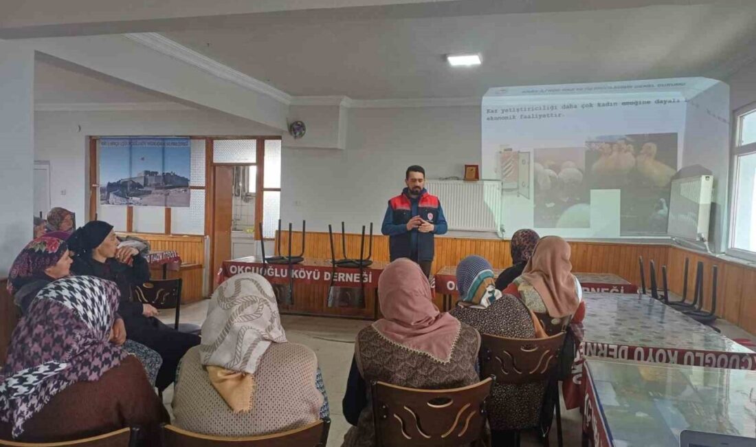 Kars’ın Arpaçay ilçesinde kadın üreticilere yönelik düzenlenen eğitim programında, kaz