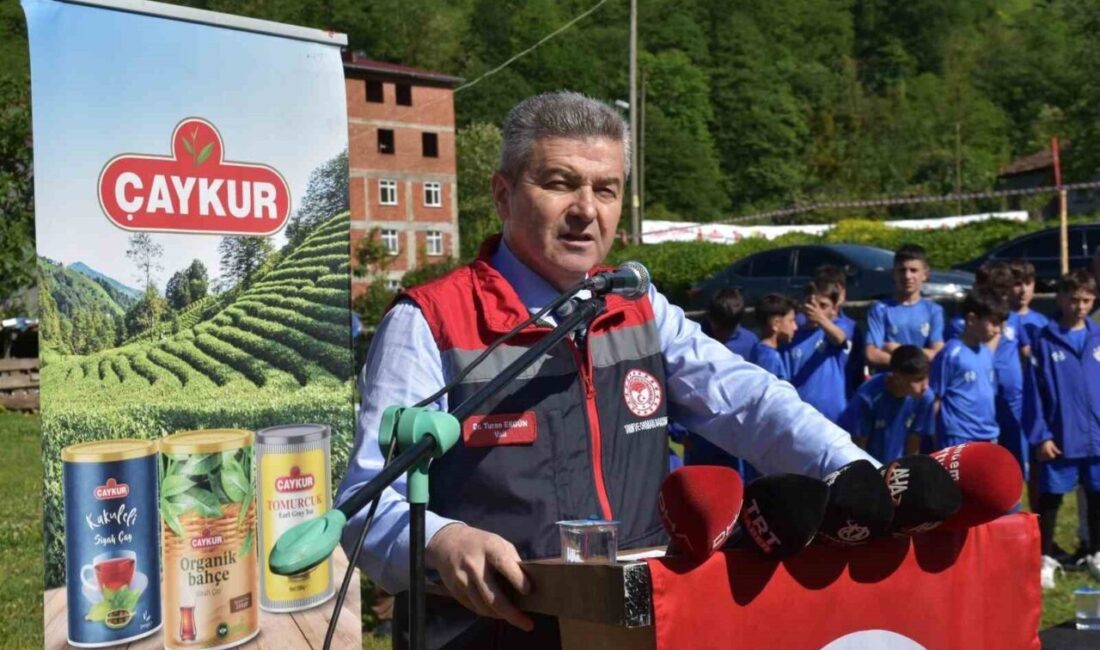 Rize ve Trabzon’un ardından Artvin’de de yeni sezon yaş çay