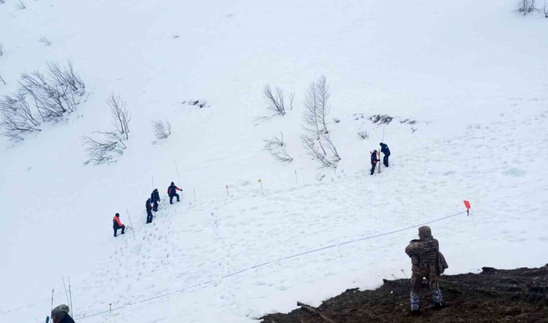 Artvin’in Ardanuç ilçesinde 31 Aralık 2025’te meydana gelen çığ felaketinde