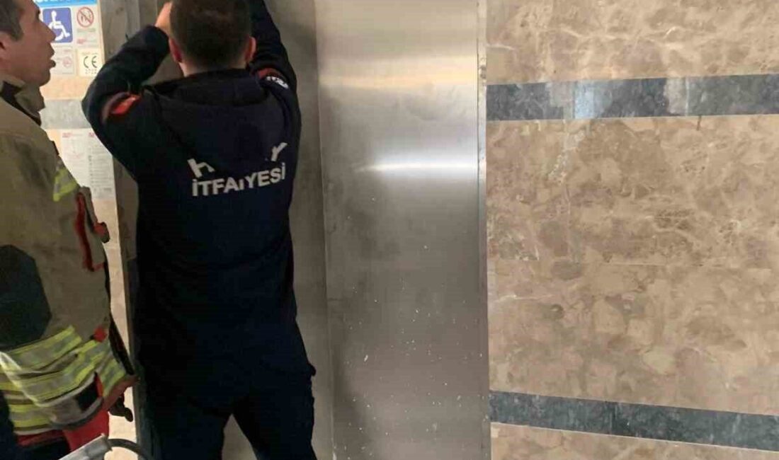 Hatay’da asansör boşluğuna düşerek mahsur kalan yavru kediyi itfaiye kurtardı.