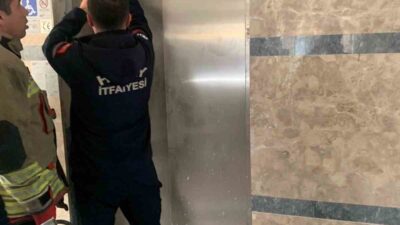 Hatay’da asansör boşluğuna düşerek mahsur kalan yavru kediyi itfaiye kurtardı.