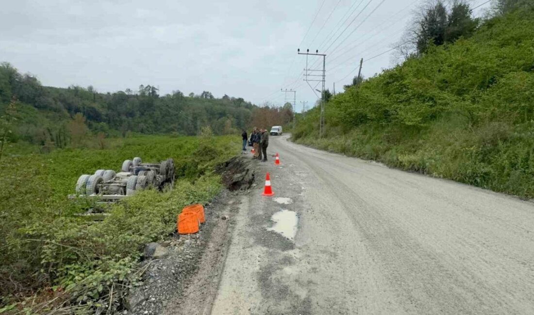 Zonguldak’ın Karadeniz Ereğli ilçesine bağlı Merve köyü Kavakdere Mahallesi yolunda