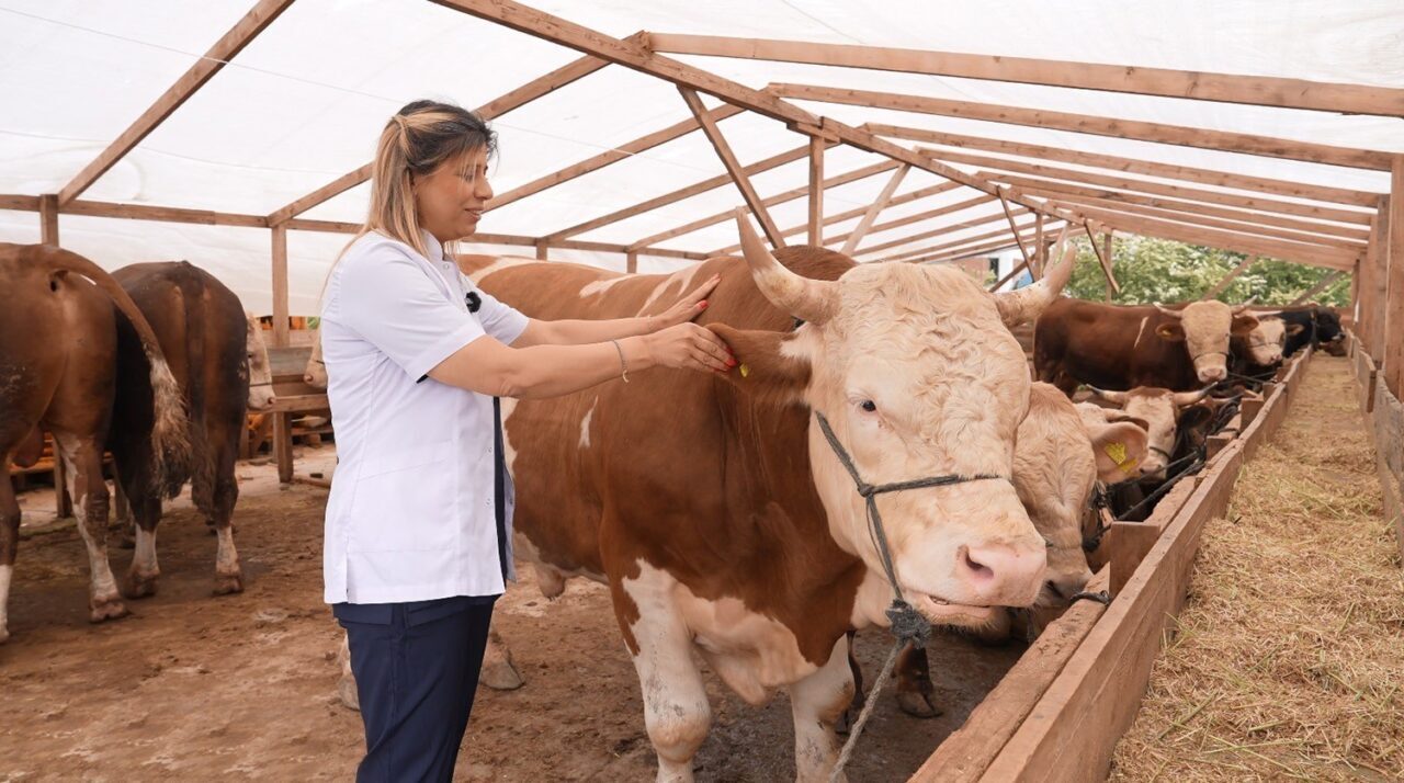 Ataşehir Belediyesi, yaklaşan Kurban Bayramı öncesinde vatandaşların sağlıklı ve dini
