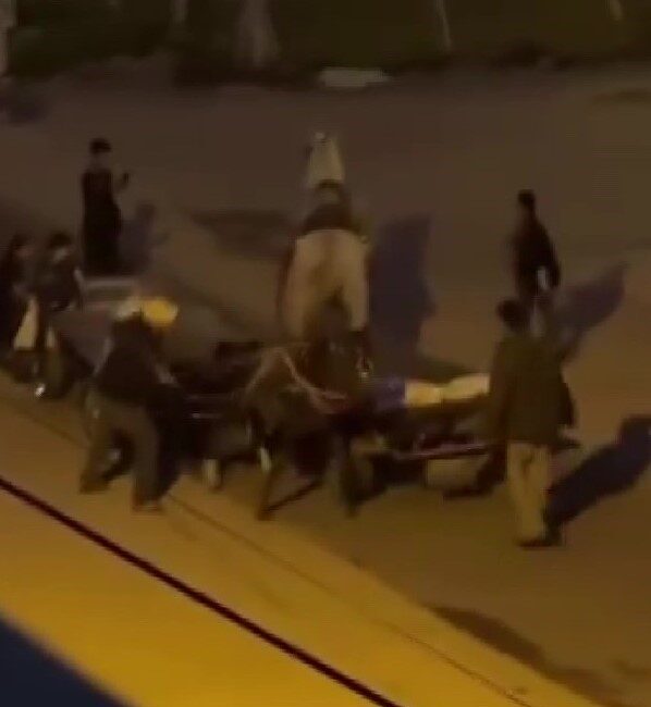 Adana’da kimliği belirsiz bir grup şahıs, 2 ata kırbaçla vurarak