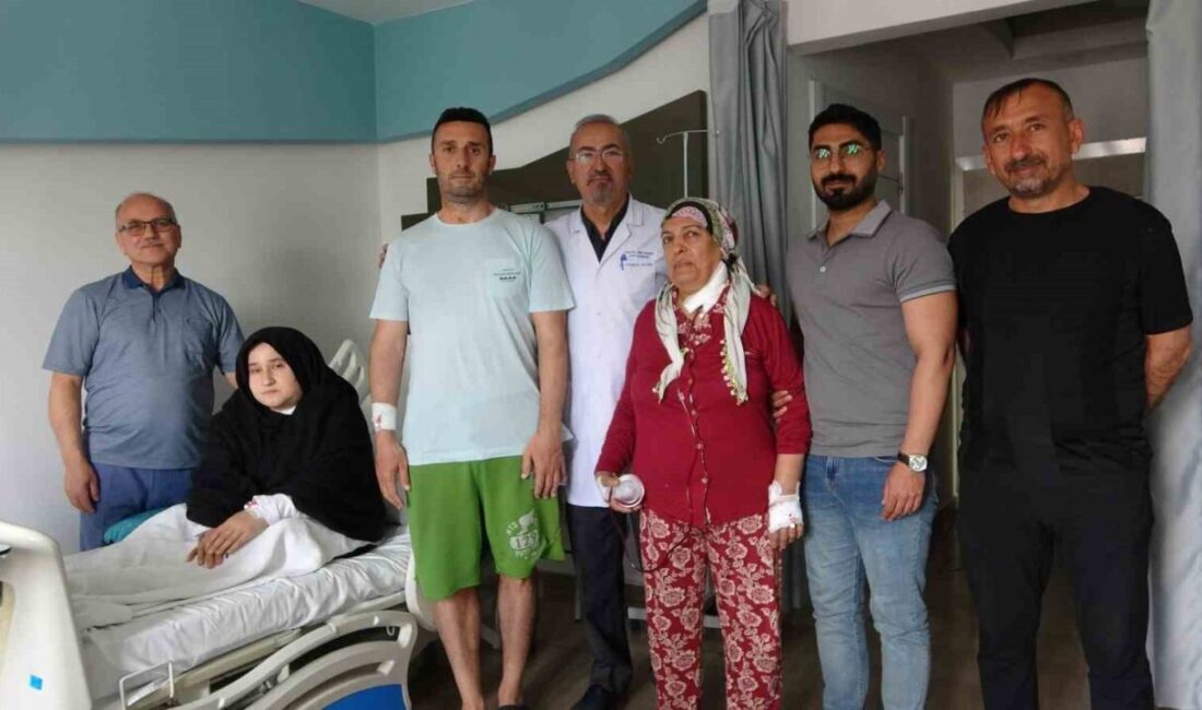 Lokman Hekim Van Hastanesi Kalp ve Damar Cerrahisi Uzmanı Prof.