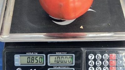 Aydın’da Kurban Bayramı öncesi vatandaşların ihtiyaçları için kurulan pazarda hareketlilik