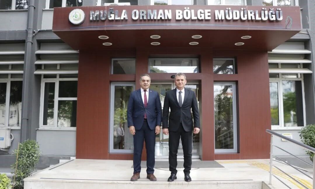 Aydın’da kestane ağaçları gal arısı zararlısına karşı biyolojik mücadele ile