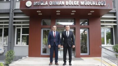 Aydın’da kestane ağaçları gal arısı zararlısına karşı biyolojik mücadele ile