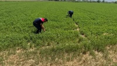 Aydın’da kuraklıkla mücadele çalışmaları kapsamında aylık gözlem çalışmaları gerçekleştirildi. Aydın
