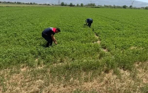Aydın’da kuraklıkla mücadele çalışmaları kapsamında aylık gözlem çalışmaları gerçekleştirildi. Aydın