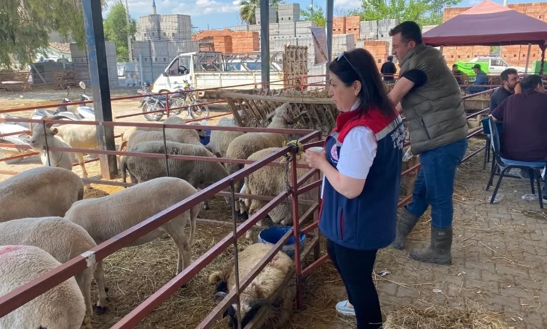 Aydın İl Tarım ve Orman Müdürlüğü, Kurban Bayramı süresince vatandaşların