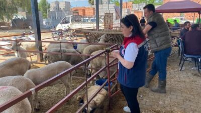 Aydın İl Tarım ve Orman Müdürlüğü, Kurban Bayramı süresince vatandaşların