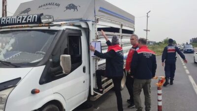 Aydın’da Kurban Bayramı öncesinde artan hayvan hareketliliği nedeniyle yol kontrol
