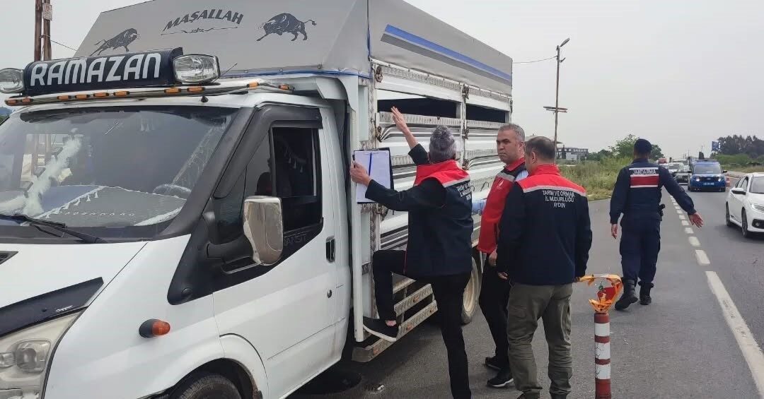 Aydın’da Kurban Bayramı öncesinde artan hayvan hareketliliği nedeniyle yol kontrol