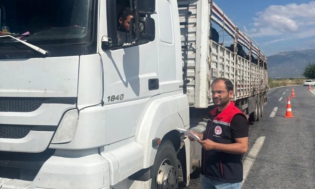 Aydın’da il tarım ekipleri, Kurban Bayramı nedeni ile artan hayvan