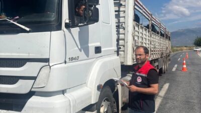 Aydın’da il tarım ekipleri, Kurban Bayramı nedeni ile artan hayvan