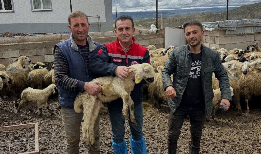 Köyümde Yaşamak İçin Bir Sürü Nedenim Var projesi kapsamında teslim