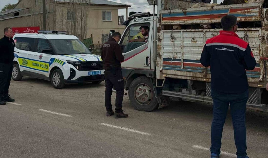 Bayburt’un Aydıntepe ilçesinde Kurban Bayramı öncesi artan hayvan hareketliliğine karşı