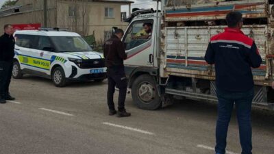Bayburt’un Aydıntepe ilçesinde Kurban Bayramı öncesi artan hayvan hareketliliğine karşı