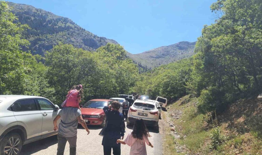 Konya’nın Bozkır ilçesine bağlı Karacahisar Mahallesi’nde bulunan Aygırdibi Şelalesi ve