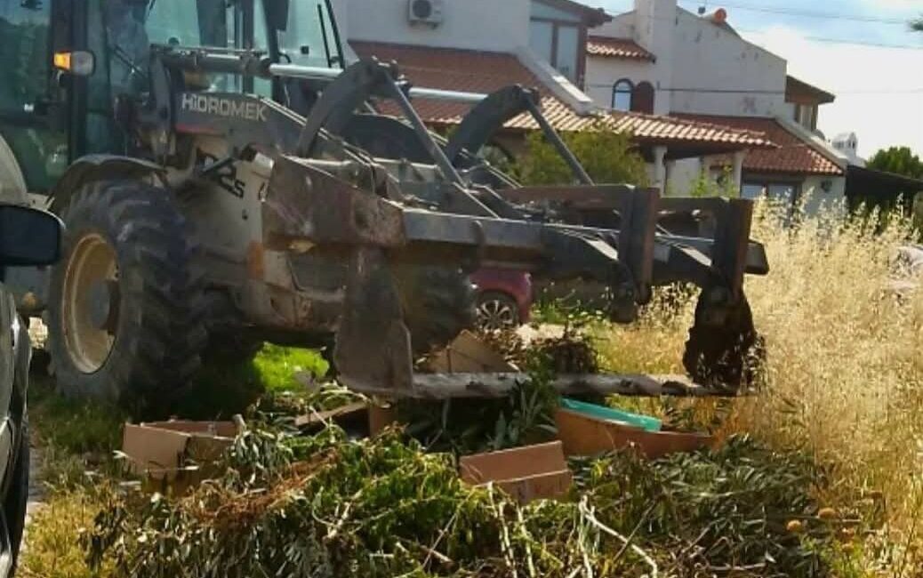 Balıkesir’in Ayvalık ilçesinde; Ayvalık Belediyesi Zabıta Müdürlüğü ekipleri, kent genelinde