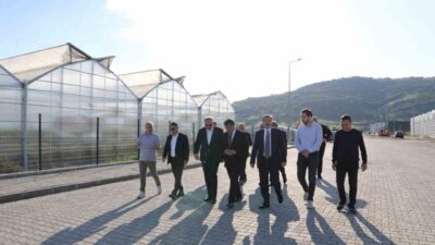 Samsun Valisi Orhan Tavlı, Samsun Büyükşehir Belediye Başkanı Halit Doğan