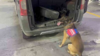 Tunceli’de aracın bagaj ve kaputuna zulalanan uyuşturucu narkotik köpeği ‘Ayar’