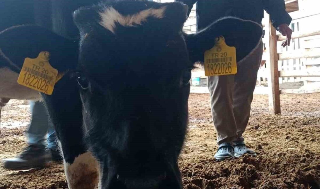 Denizli’nin Çal ilçesinde tedavisi için yardım kampanyaları düzenlenen minik Mert’e