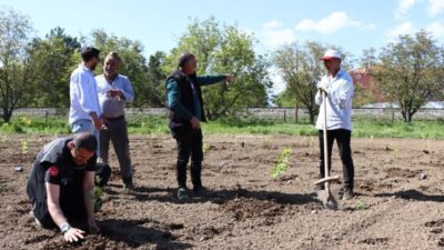 Erzincan Bahçe Kültürleri Araştırma Enstitüsü Müdürlüğü tarafından aronya çeşitlerinin adaptasyon