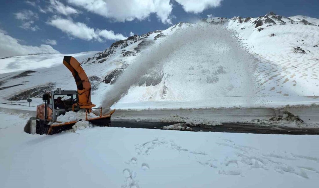 Van’da kış mevsiminin çetin geçtiği bölgelerden biri olan Bahçesaray’da, yaklaşık