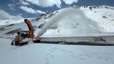 Van’da kış mevsiminin çetin geçtiği bölgelerden biri olan Bahçesaray’da, yaklaşık