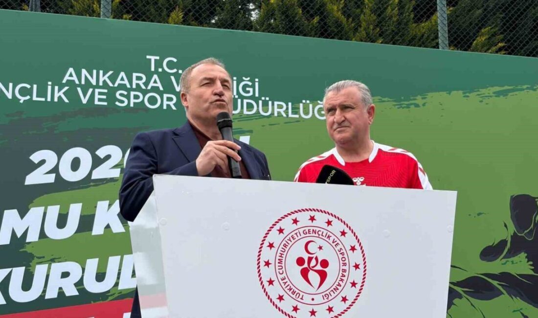 Gençlik ve Spor Bakanı Osman Aşkın Bak, A Milli Futbol