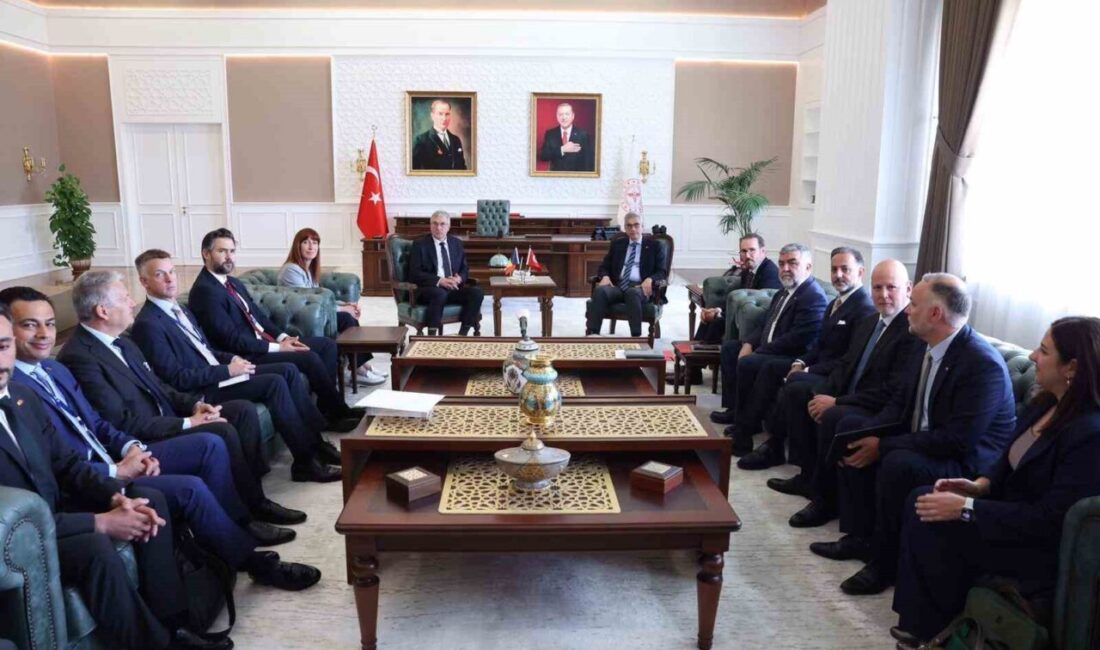 Sağlık Bakanı Kemal Memişoğlu, Belçika Valonya Hükümeti Başkan Yardımcısı ve