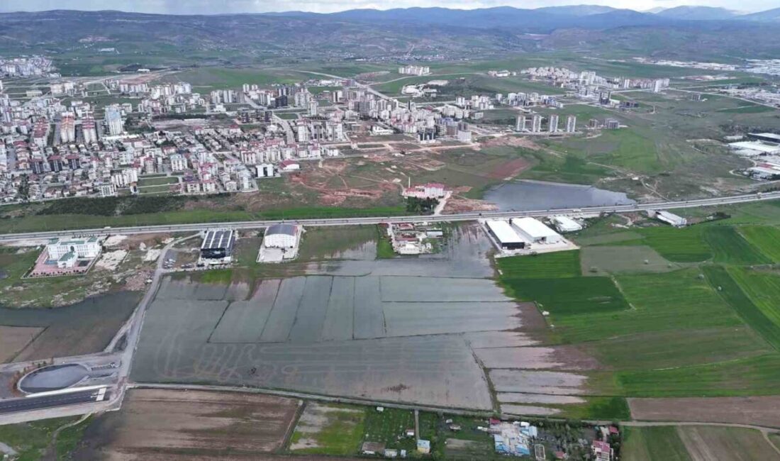 Sivas’ta yoğun yağışlı geçen ilkbahar ile birlikte birçok tarım arazisi