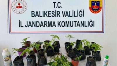 Balıkesir İl Jandarma Komutanlığı ekiplerince 10 ilçede düzenlenen uyuşturucu operasyonlarında