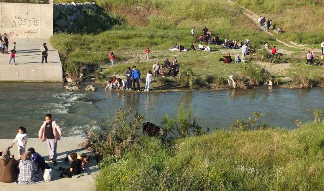 Burhaniye ilçesinde, geleneksel Hıdırellez kutlaması Karınca Deresi’nde yapıldı. Dere kenarını