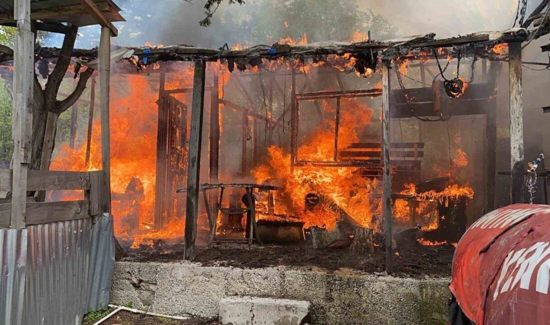 Mersin’in Erdemli ilçesinde yayladaki baraka ev çıkan yangında küle döndü.