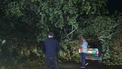 Bartın’da akşam saatlerinden itibaren etkisini gösteren fırtınanın şiddetini artırmasıyla ağaçlar