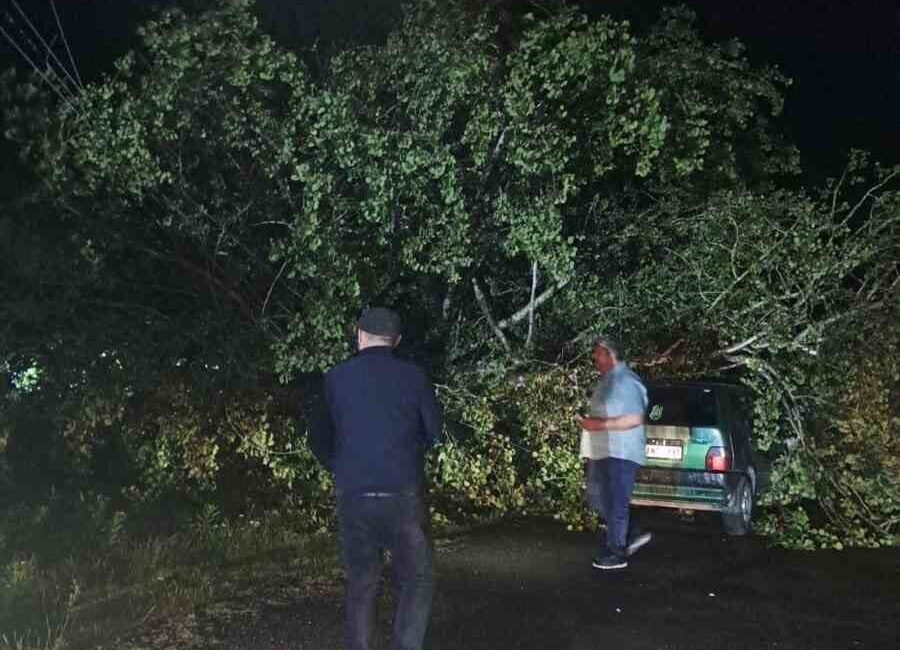 Bartın’da akşam saatlerinden itibaren etkisini gösteren fırtınanın şiddetini artırmasıyla ağaçlar