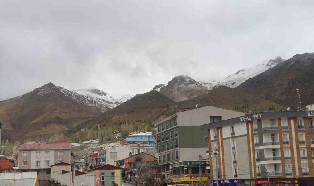Van’ın Başkale ilçesinde mayıs ayında yağan kar, yüksek kesimleri beyaza