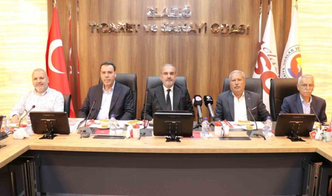 Elazığ TSO Başkanı İdris Alan, sanayi sitesi esnafının yaşadığı sorunların
