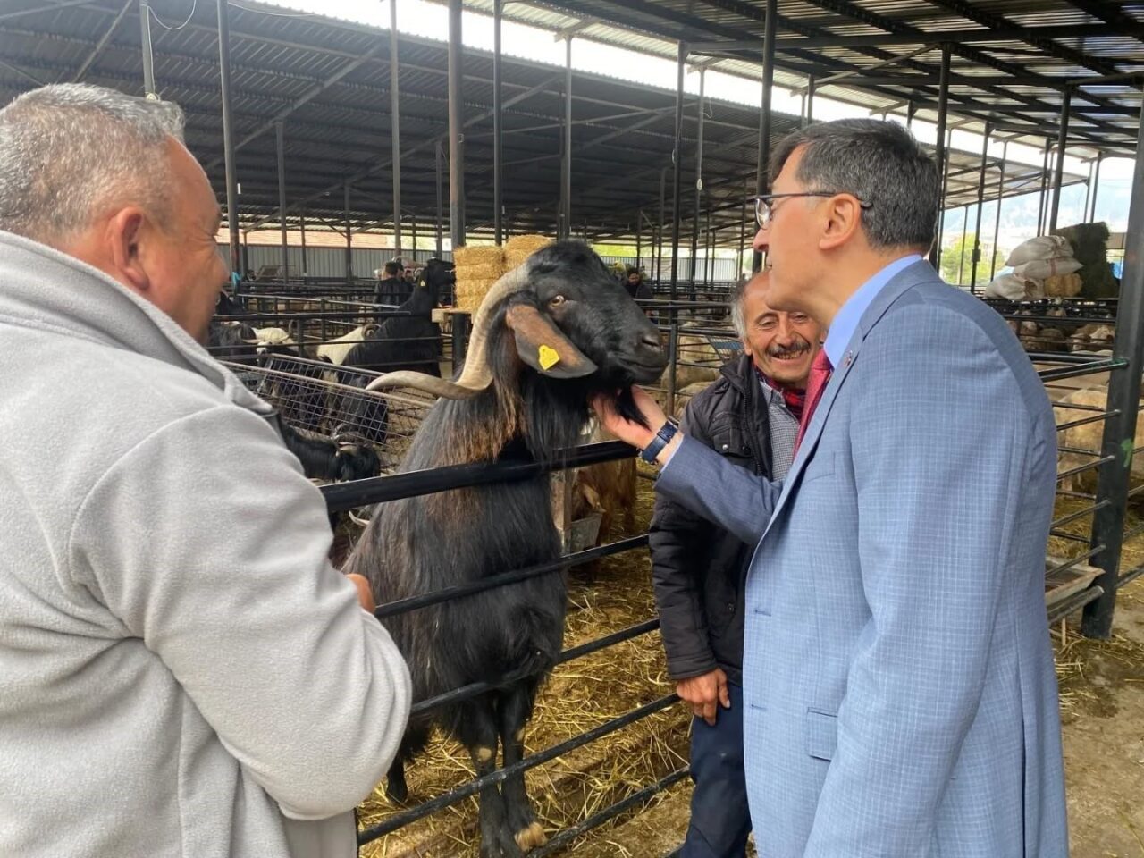 Belediye Başkanı Eyüp Kahveci, Kurban Bayramı öncesinde Kütahya Canlı Hayvan