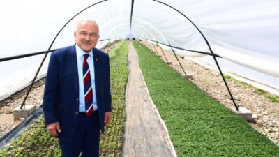 Ordu Büyükşehir Belediye Başkanı Dr. Mehmet Hilmi Güler, kurdukları çiçek