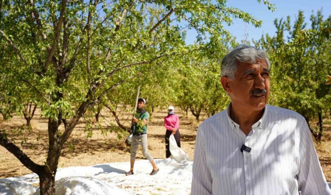 Adıyaman’ın Kahta ilçe Belediye Başkanı Mehmet Can Hallaç, 1 Mayıs