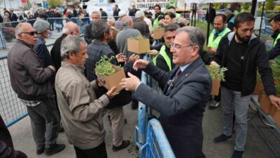 Hacılar Belediyesi tarafından asırlık miras olan ata tohumu domates fideleri